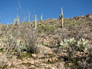 photo thumbnail #9