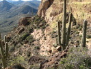 photo thumbnail #12