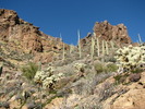 photo thumbnail #13