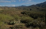 photo thumbnail #3