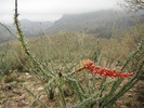 photo thumbnail #13