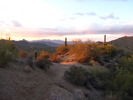 photo thumbnail #7