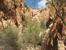 photo thumbnail #8