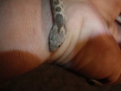 photo thumbnail #10