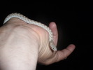 photo thumbnail #11