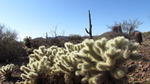 photo thumbnail #8