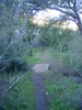 photo thumbnail #1