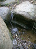 photo thumbnail #12
