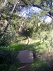 photo thumbnail #14