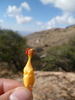 photo thumbnail #5