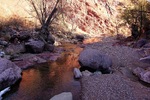 photo thumbnail #3