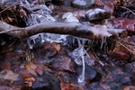 photo thumbnail #9