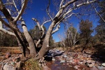 photo thumbnail #11