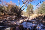 photo thumbnail #14