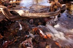 photo thumbnail #15