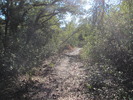 photo thumbnail #9