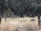 photo thumbnail #13