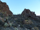 photo thumbnail #11