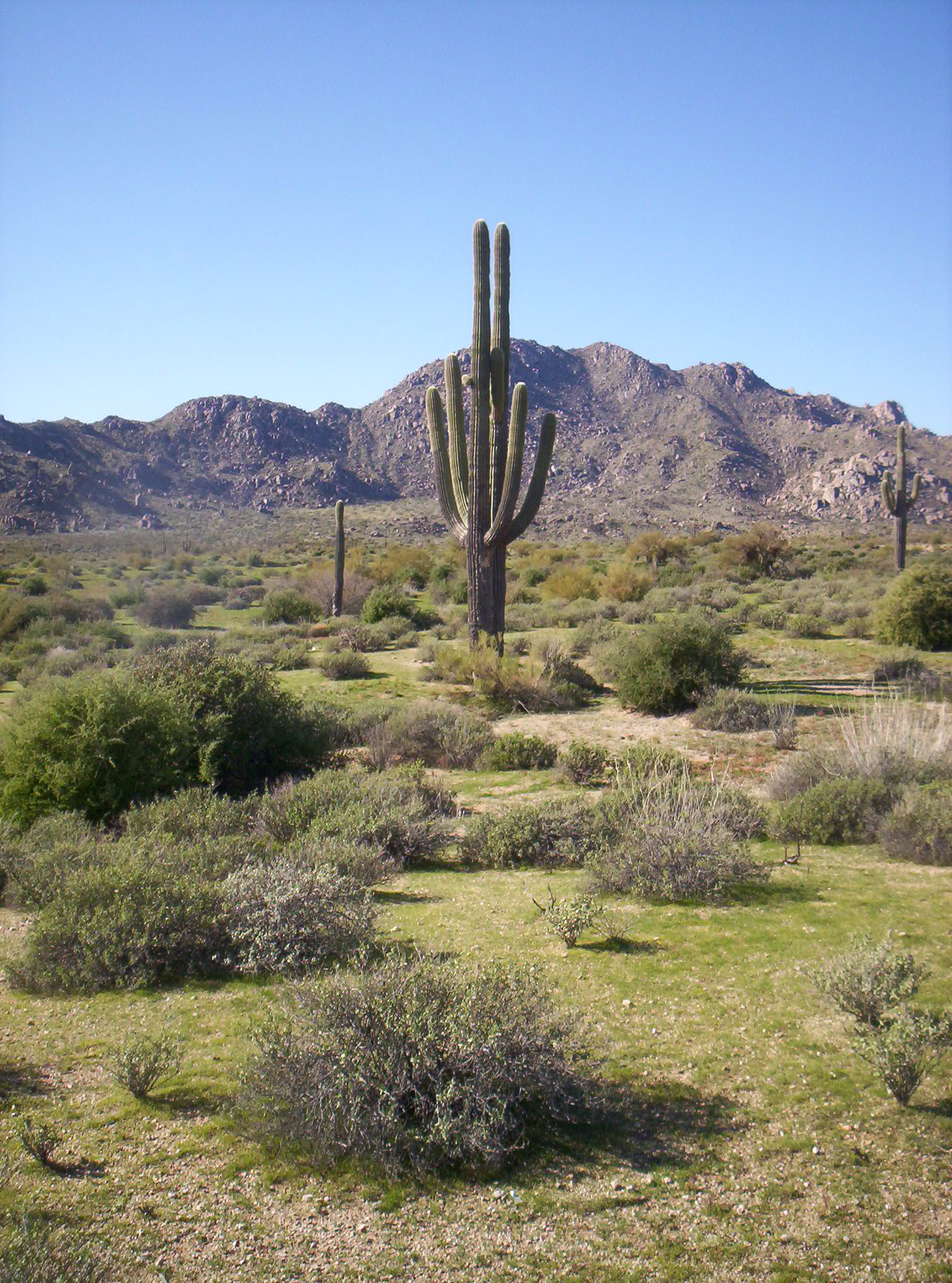 Pemberton Trail MMRP, AZ HikeArizona