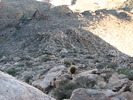 photo thumbnail #15