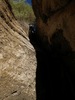 photo thumbnail #15