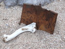 photo thumbnail #1