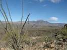 photo thumbnail #8