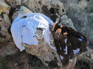 photo thumbnail #7