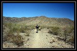 photo thumbnail #2