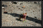 photo thumbnail #7