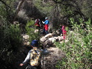 photo thumbnail #1