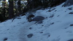 photo thumbnail #1