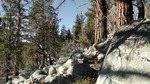 photo thumbnail #9