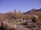 photo thumbnail #1
