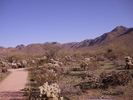 photo thumbnail #4