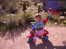 photo thumbnail #5