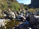 photo thumbnail #2