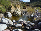 photo thumbnail #12