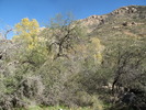 photo thumbnail #9