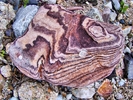 photo thumbnail #3