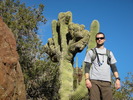 photo thumbnail #4