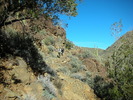 photo thumbnail #7