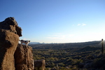 photo thumbnail #7