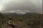 photo thumbnail #7