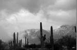 photo thumbnail #14