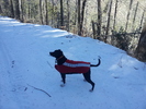 photo thumbnail #3