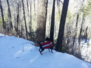 photo thumbnail #4