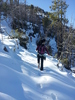 photo thumbnail #5