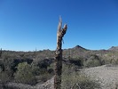 photo thumbnail #4