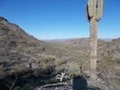 photo thumbnail #6